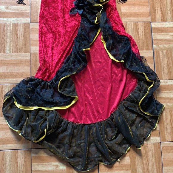 Donated Flamenco Spanish Dancer Costume w/ Shawl - Adult OS LNC - Picture 8 of 15